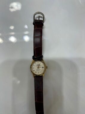 Classic Brown Leather Women’s Watch - Gold Case Anne Klein